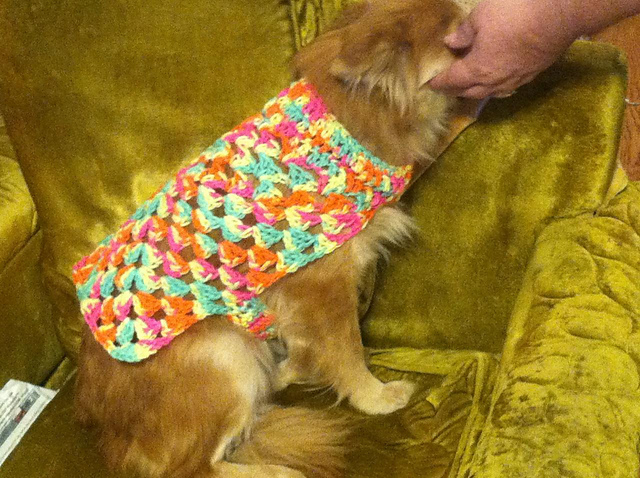 Gracie's Sweater