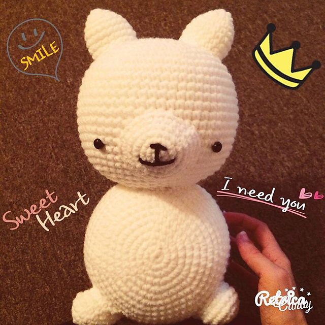 Cute alpaca