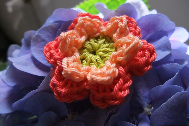 Flowers and Leaves