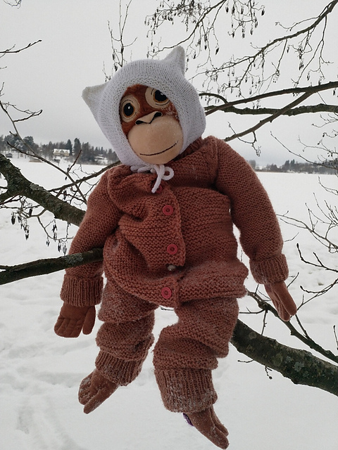 Pupukatti