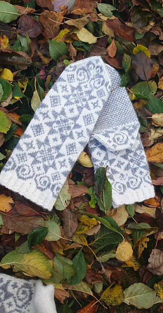 Sjennrosesokker