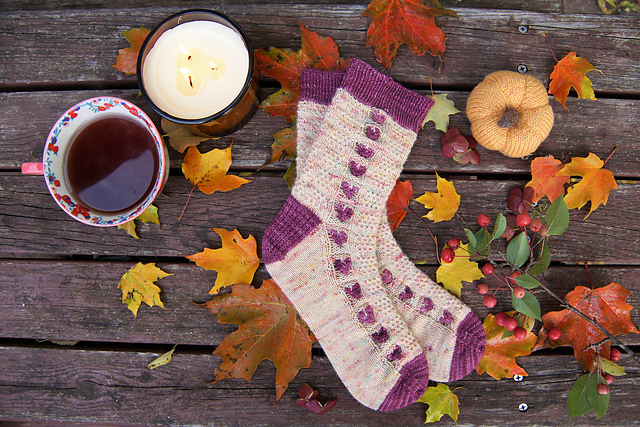 Cozy Comforts Socks