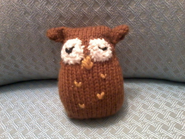 Contemplative Little Owl
