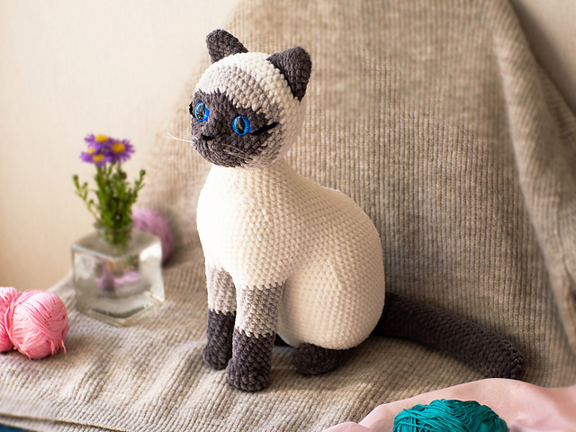 Siamese cat