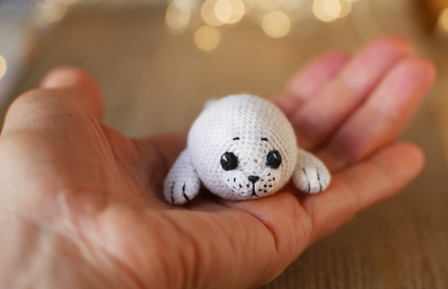 Baby seal