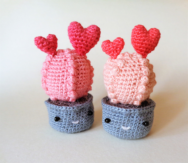 Pink cactus