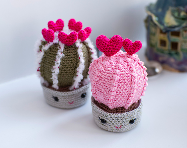 Heart cactus