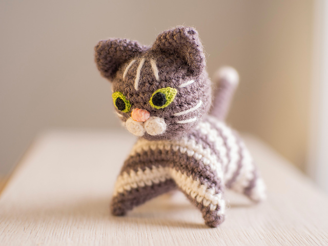 Timo the kitten