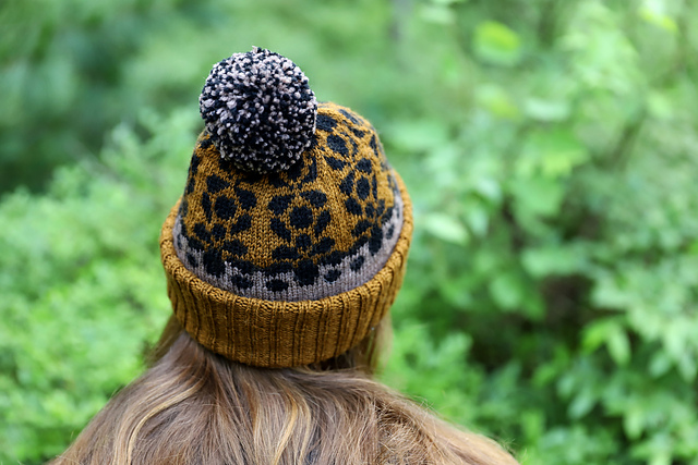 Gladiolus Beanie