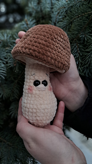 Mr. Mushroom