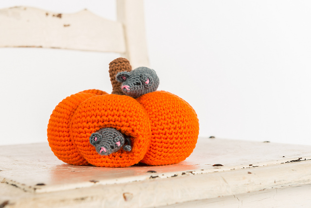 Little mouse and the pumpkin