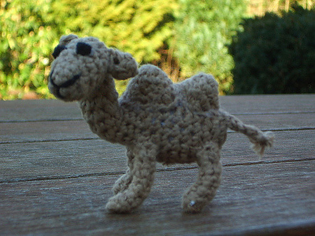 Claude the 2 humped Camel