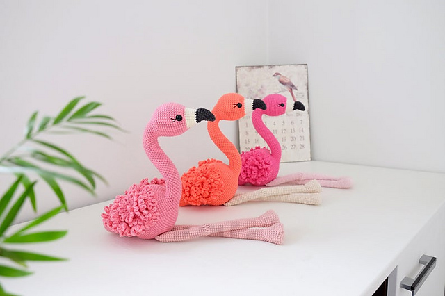 Delightful flamingo