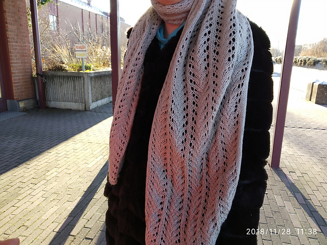 Driver's License Scarf