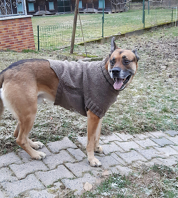 Remi Sweater
