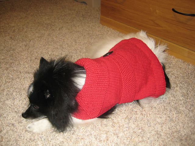 Raingear for Rover