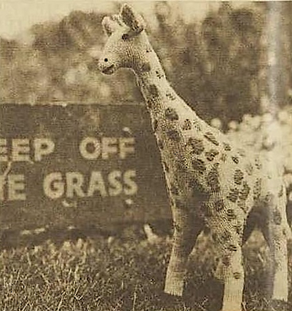 Cheeky Giraffe