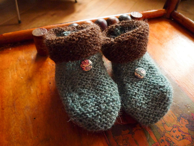 Aster d'automne - Les chaussons
