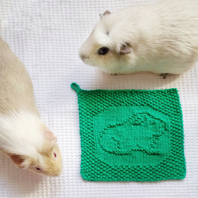 Self Cleaning Cavy