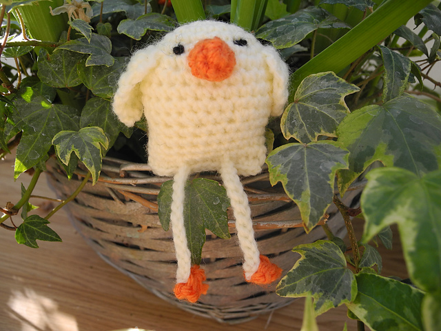 Easter Spring Chicken