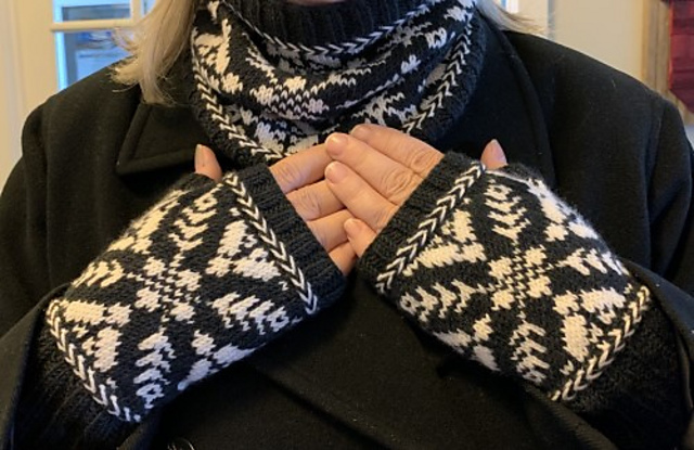 Winter's Night Mitts