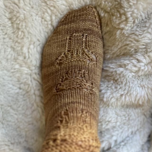 Advent Mushroom Socks 2024