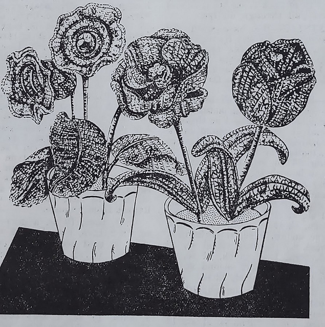Flowers that Bloom All the Year