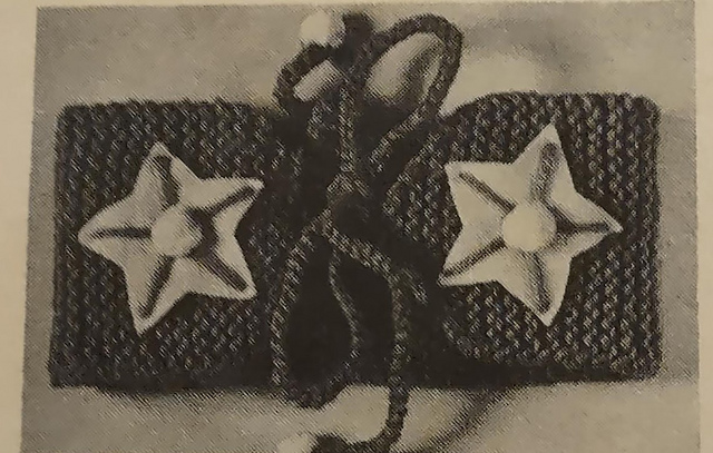 Star Earwarmer