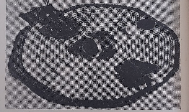 Sewing Case