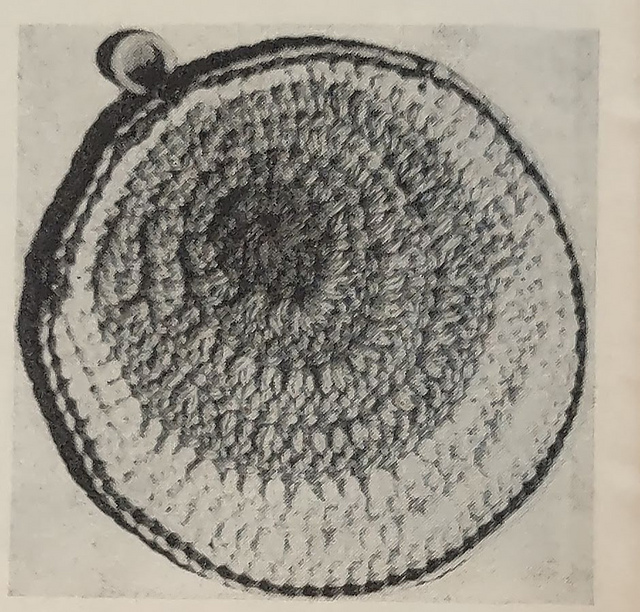 Seashell Pan Holder
