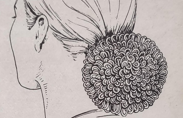 Hair Bun