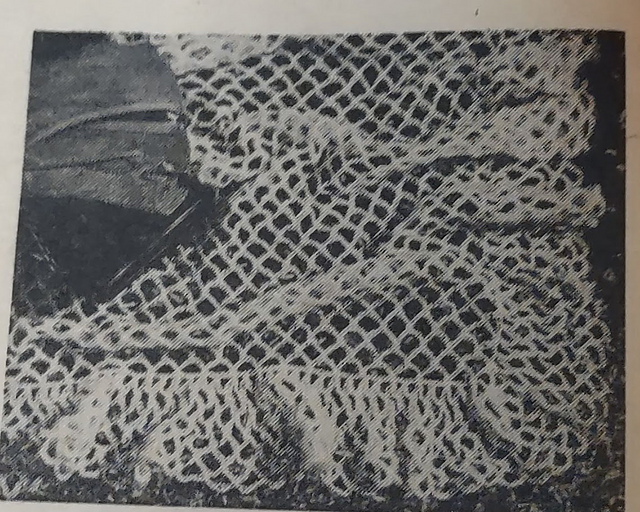 Cape Shawl