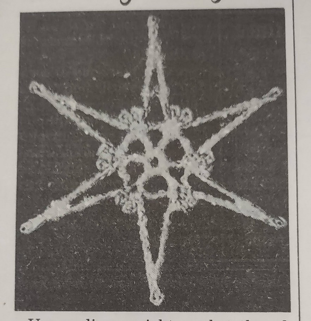Glittering Snowflake