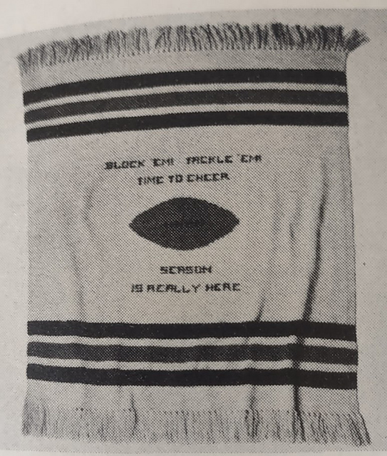Stadium Blanket