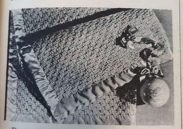 Carriage Cover