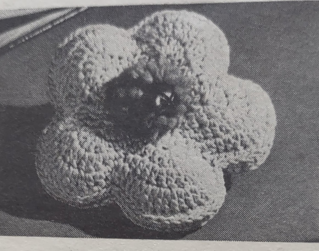 Bean Bag