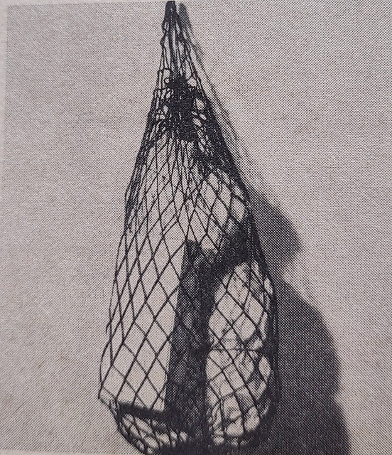 Shopping Bag
