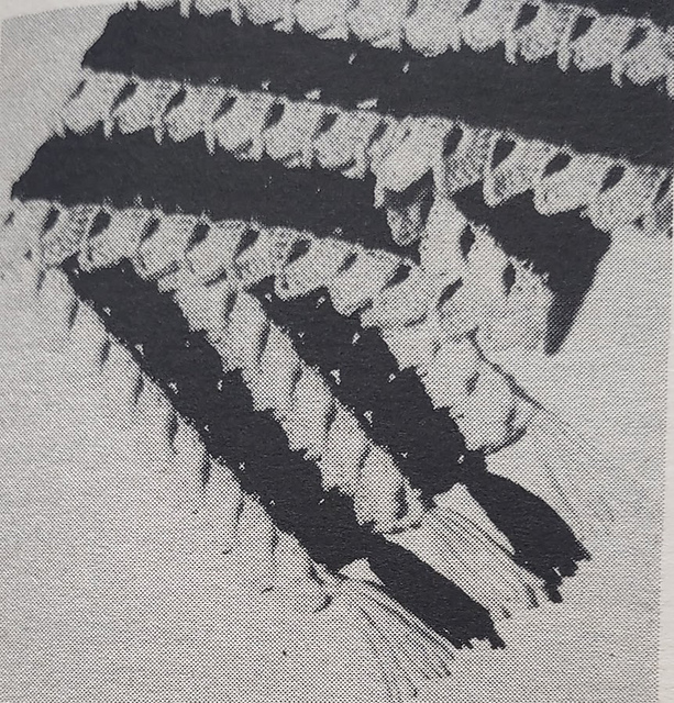 Decorative Muffler