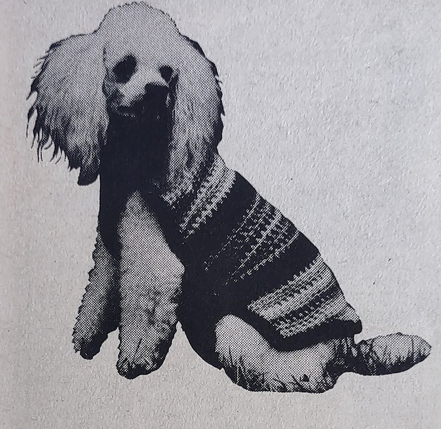 Dog's Overcoat