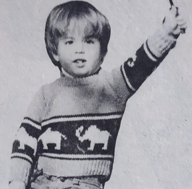 Raglan Pullover
