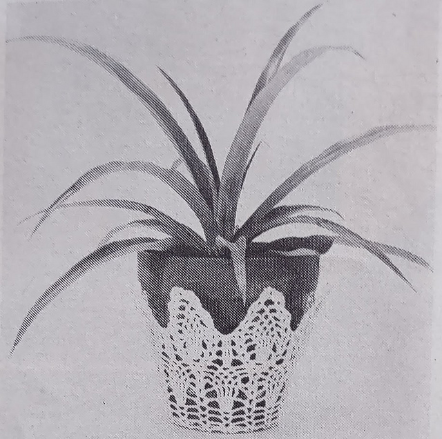 Cachepot