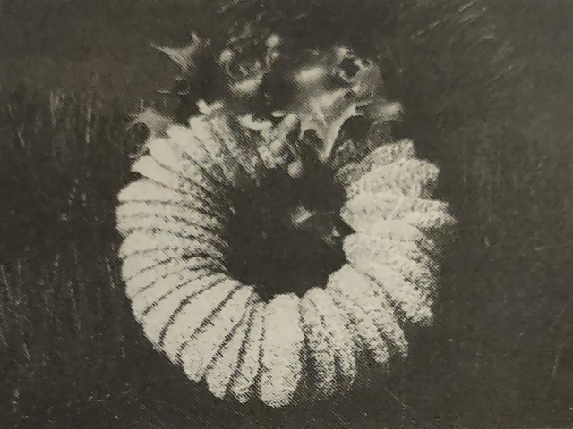 Silver Wreath