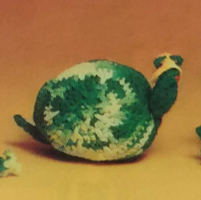 Sedgwick Snail