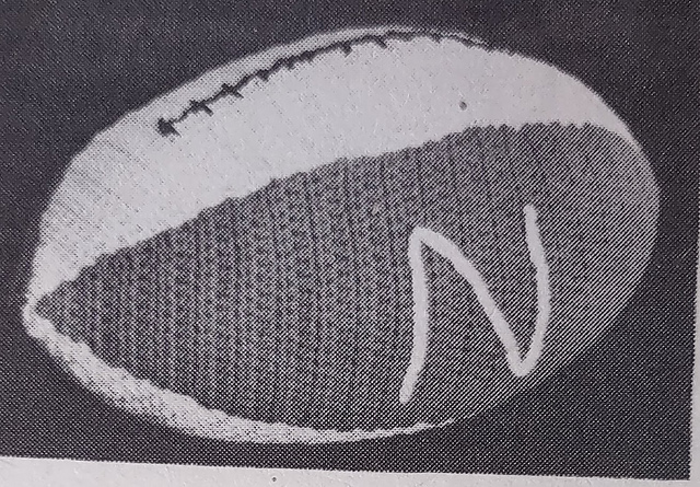 Football Pillow