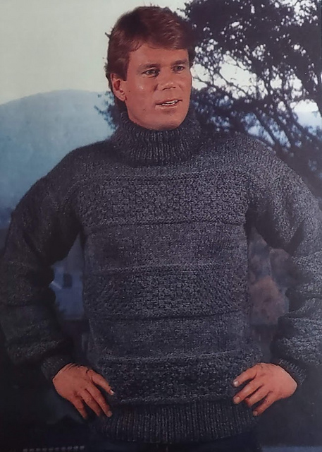 Patterned Stripe Pullover
