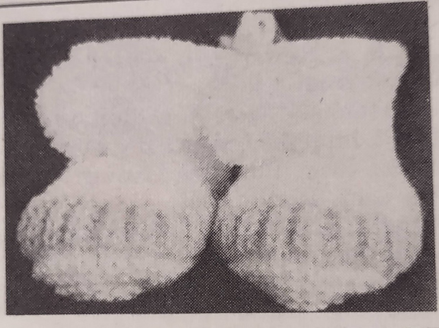 Baby Booties