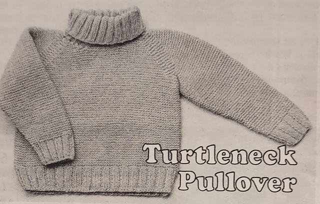 Turtleneck Pullover