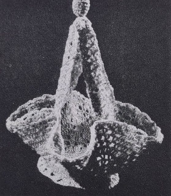 Spanish Basket