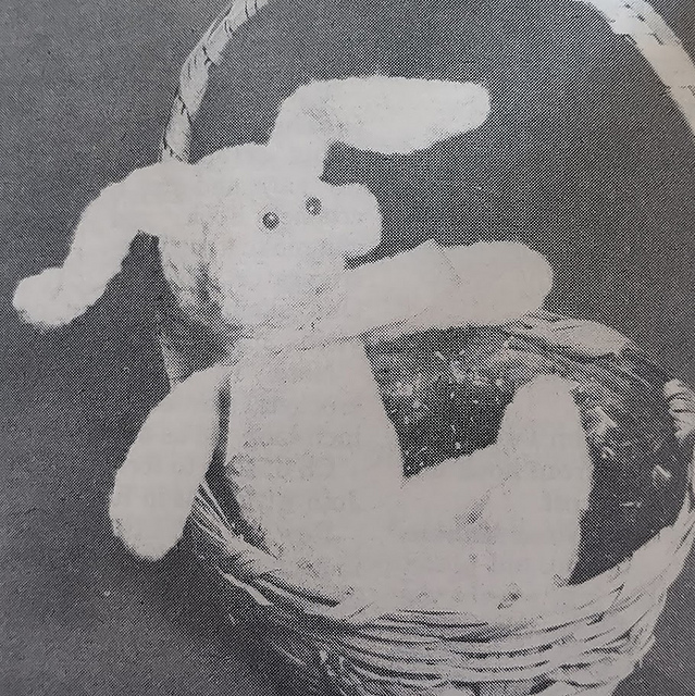 Rolfe the Rabbit