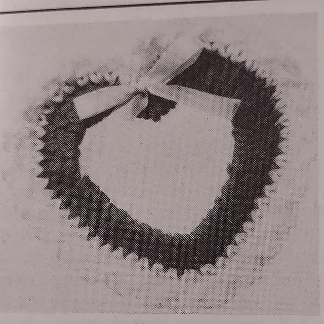 Valentine Heart